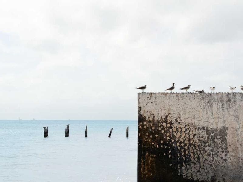 The Economic Impact of IUU Fishing